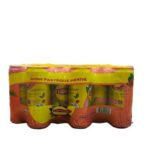 Lipton	Watermelon Mint Flavour